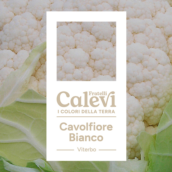 Cavolfiore bianco