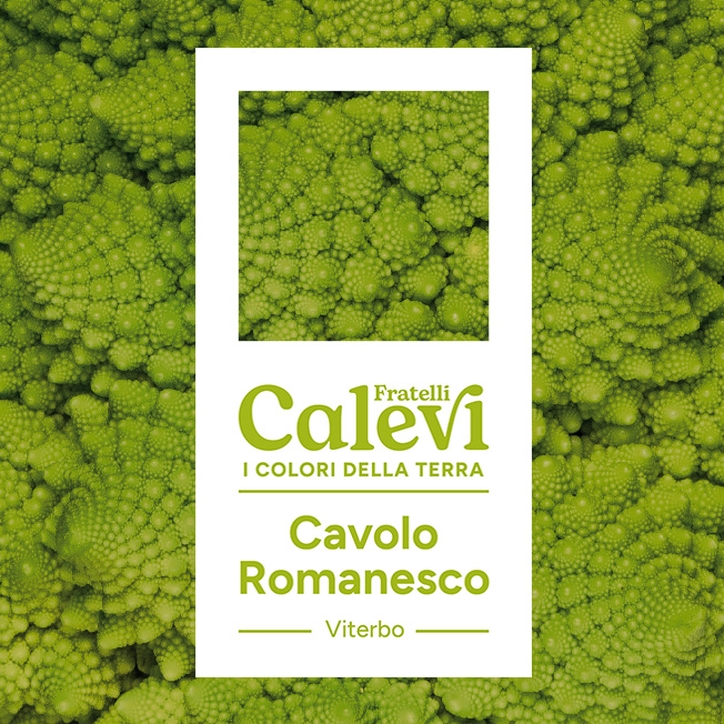 Cavolo romanesco