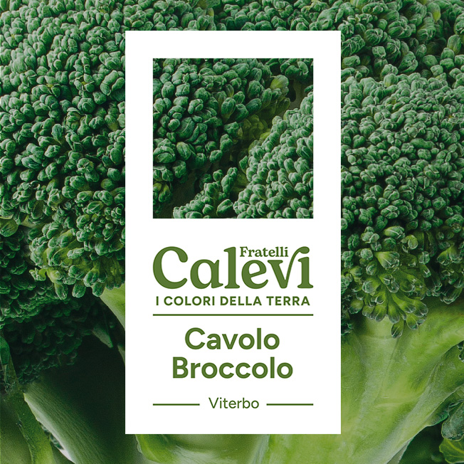 Cavolo broccolo