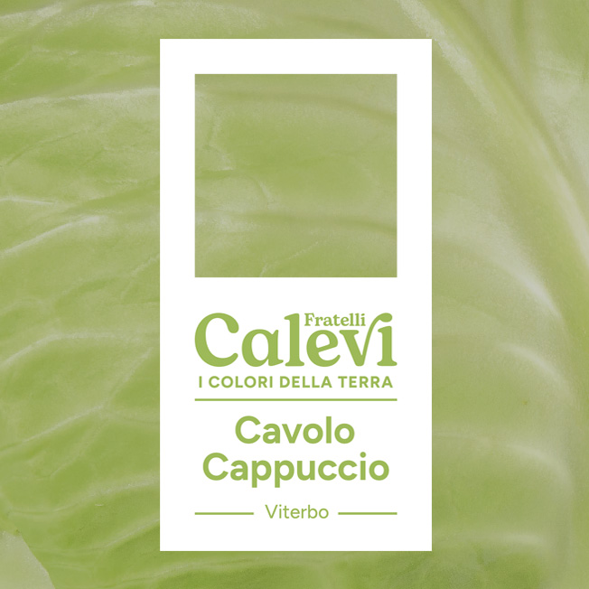 Cavolo cappuccio