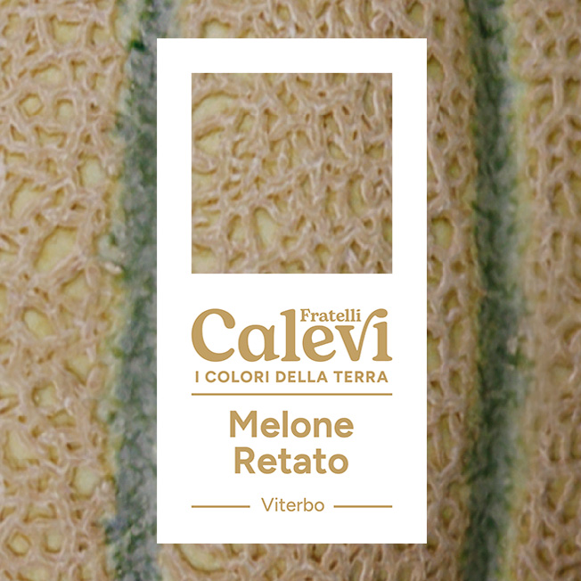 Melone retato