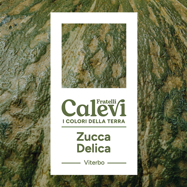 Zucca Delica