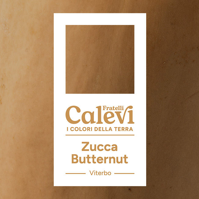 Zucca Butternut