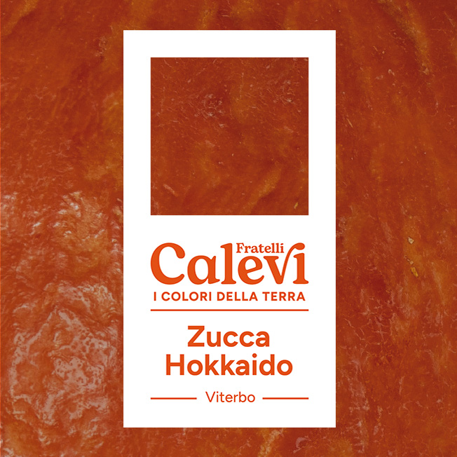 Zucca Hokkaido