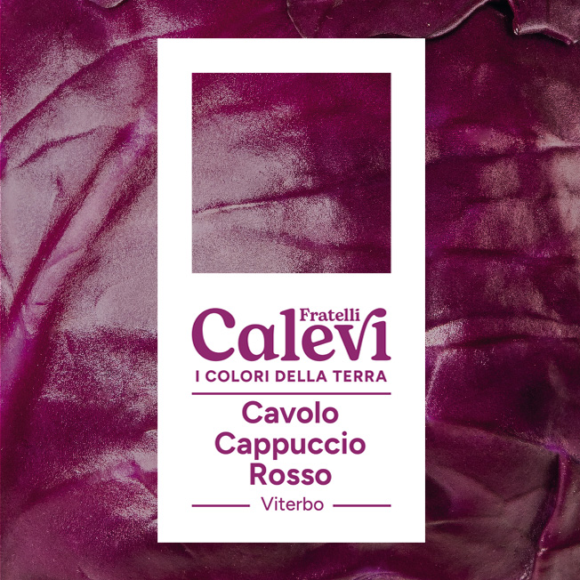 Cavolo cappuccio rosso